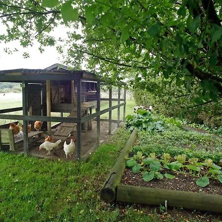 Bed & Breakfast Au Coq En Pate Jalhay