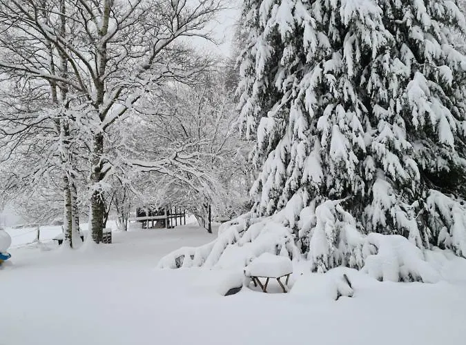 Bed & Breakfast Au Coq En Pate