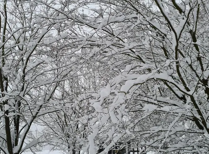 Au Coq En Pate Bed & Breakfast