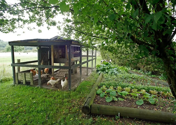 Bed & Breakfast Au Coq En Pate Jalhay