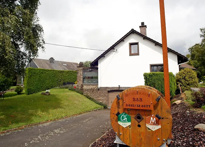 Au Coq En Pate Bed & Breakfast 3*