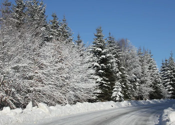 Bed & Breakfast Au Coq En Pate Jalhay