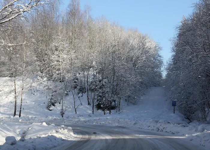 Au Coq En Pate Bed & Breakfast 3*